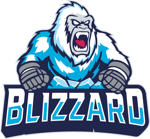 London Blizzard Sledge Hockey Club