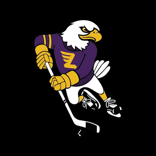 Lourdes High School Hockey