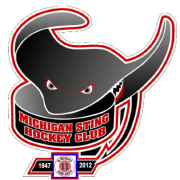 Michigan Sting Senior Hockey