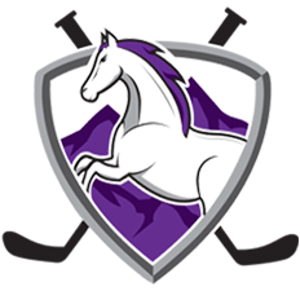 New Mexico Mustangs Girls Hockey