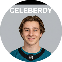 Ab Celeberdy